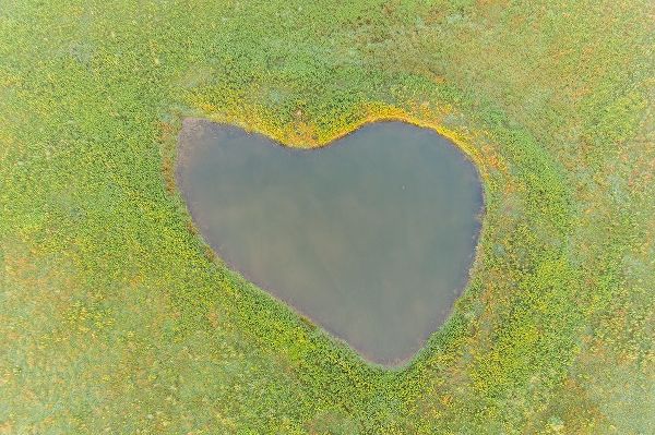 Day, Richard and Susan 아티스트의 Heart shaped pond-Marion County-Illinois작품입니다.